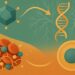 Illustration of gene therapy process showing viral vector delivery of DNA to cells, symbolizing treatment for Hemophilia B using AAV and genetic engineering.
