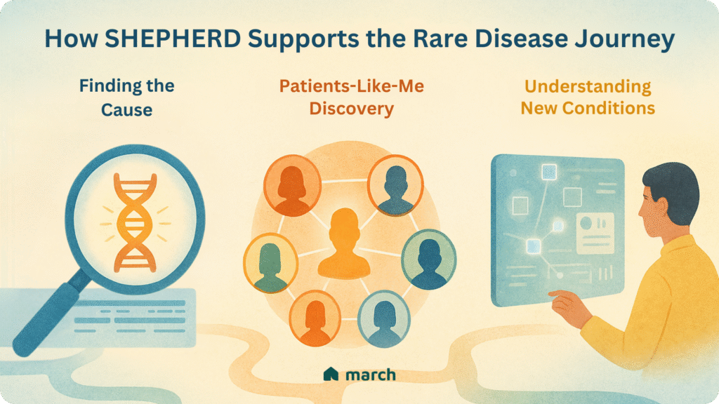 Infographic illustrating how SHEPHERD, an AI diagnostic tool, supports the rare disease journey by identifying causal genes, finding patients with similar clinical profiles, and helping researchers understand new or undiagnosed conditions.